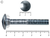 Болт мебельный, цинк DIN603 8х 50 пр.5,8 (10шт)