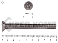 Винт потайной НЕРЖАВЕЙКА DIN965 А2 6х 90 (71шт)