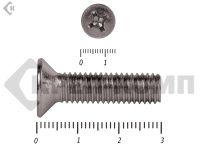 Винт потайной НЕРЖАВЕЙКА DIN965 А2 8х 30 (35шт)